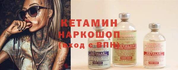 прущие грибы Нефтекумск