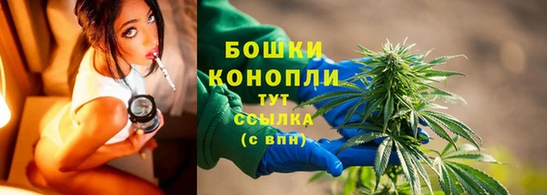прущие грибы Нефтекумск