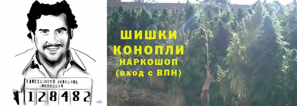 прущие грибы Нефтекумск
