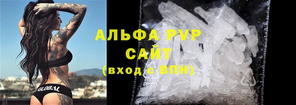 прущие грибы Нефтекумск