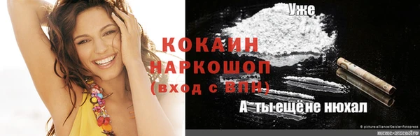 прущие грибы Нефтекумск