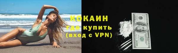 прущие грибы Нефтекумск