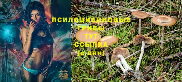 PSILOCYBIN Богородицк