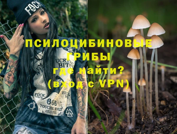 PSILOCYBIN Богородицк