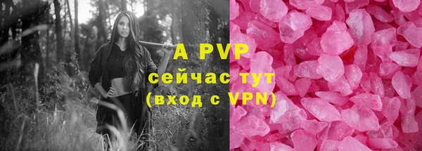 прущие грибы Нефтекумск