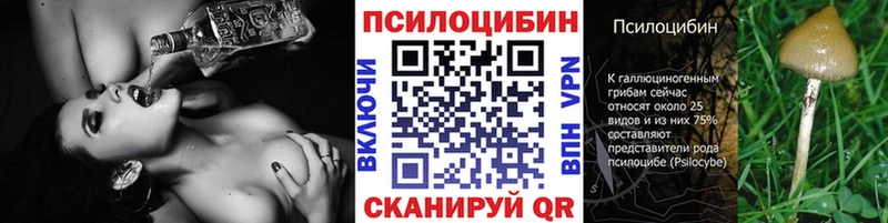 дарк нет клад  Краснообск  blacksprut ТОР  Галлюциногенные грибы Psilocybe  купить  
